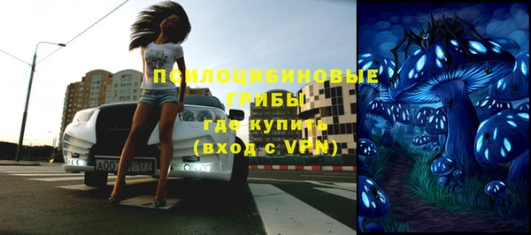 спиды Алзамай
