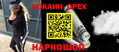 шишки Гатчина