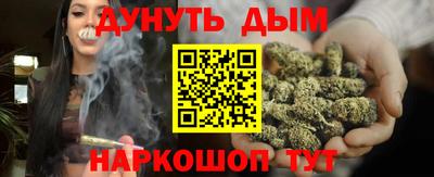 шишки Гатчина