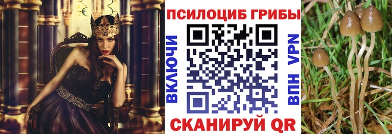 kraken ONION  Южно-Сахалинск  Галлюциногенные грибы GOLDEN TEACHER  как найти наркотики 