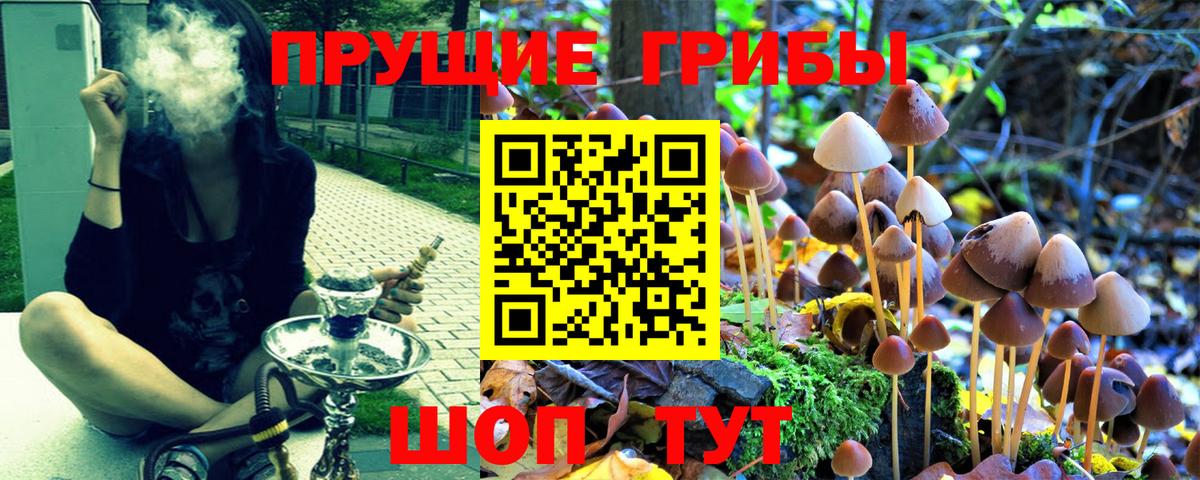 Галлюциногенные грибы мицелий  Вход с VPN  Южно-Сахалинск 